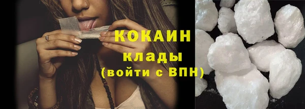 молекула духа Ладушкин
