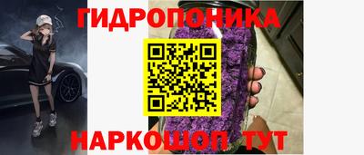 гашик Ипатово