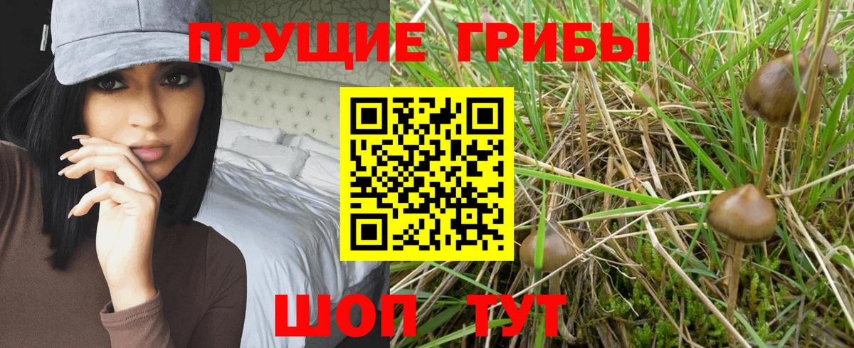 Галлюциногенные грибы Magic Shrooms Шарыпово